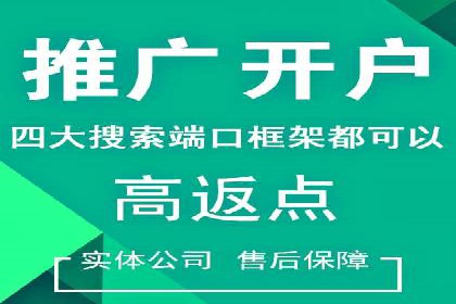 竞价开户推广案例市场分析
